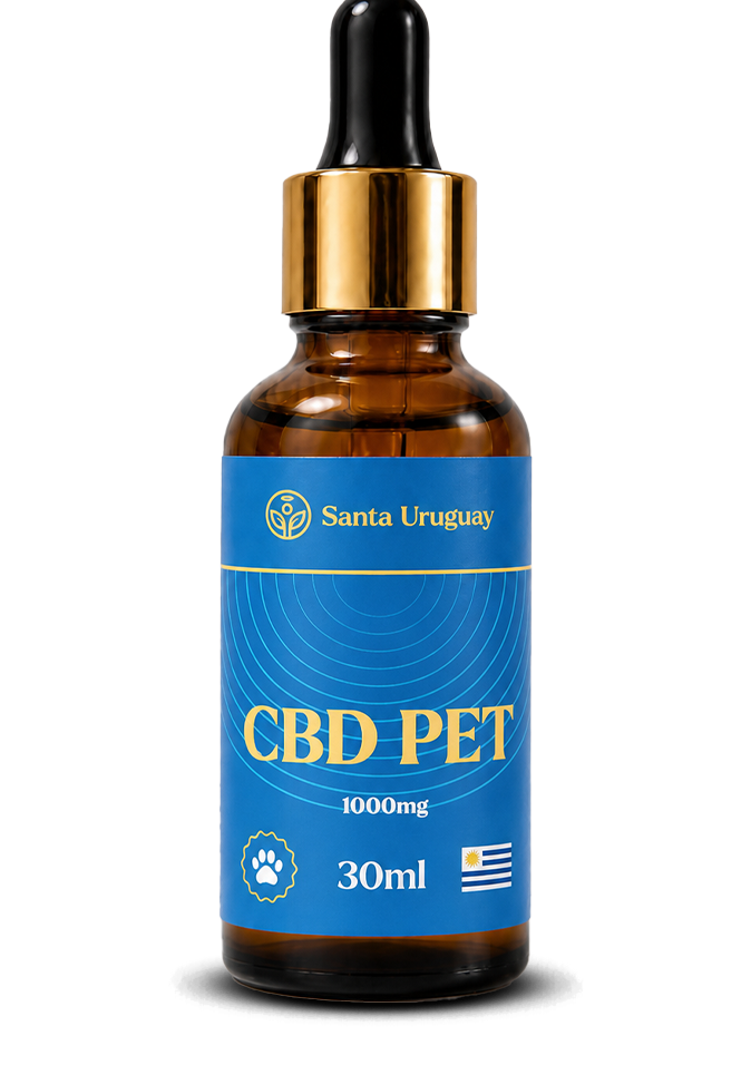 cbd 9
